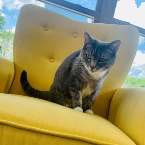 Meet your Posher, Vinnie